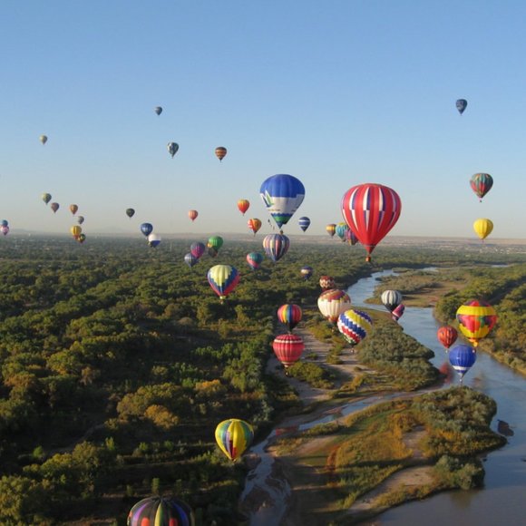 Meet your Posher, Luz - Picture 1 of 1